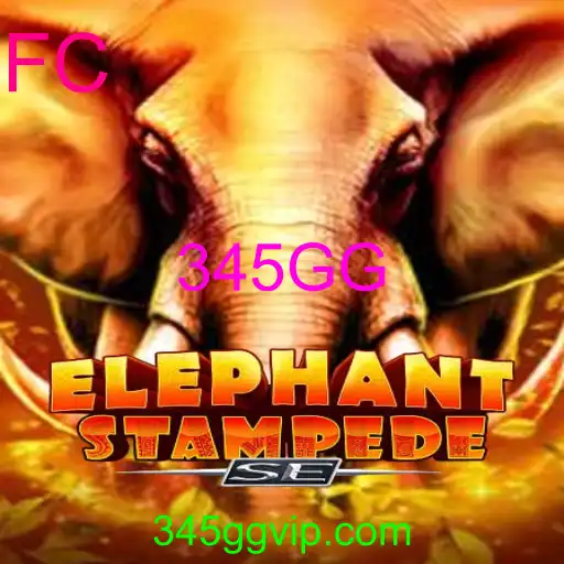 ElephantStampedeSE